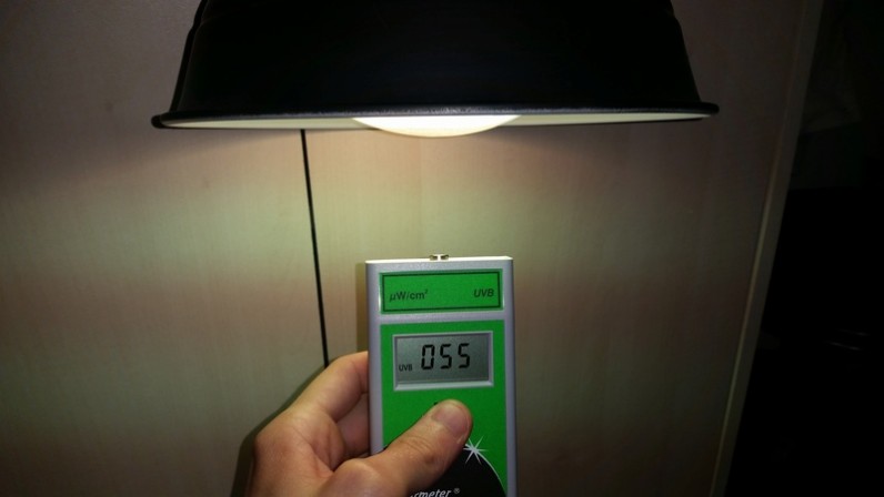 test powersun 100w dome classique 